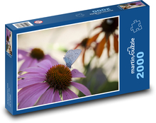 Blumen - Sonnenhut, Schmetterling Puzzle 2000 Teile - 90 x 60 cm