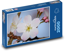 Kwiat - natura, wiosna Puzzle 2000 elementów - 90x60 cm