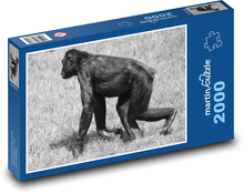 Opice - zvíře, savec Puzzle 2000 dílků - 90 x 60 cm