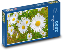 Květiny - příroda, jaro  Puzzle 2000 dílků - 90 x 60 cm