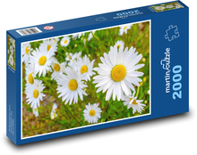 Blumen - Natur, Frühling Puzzle 2000 Teile - 90 x 60 cm