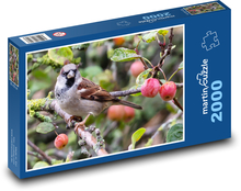 Vrabec na větvi - pták, zvíře Puzzle 2000 dílků - 90 x 60 cm