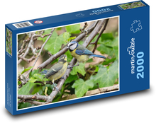 Sýkorka modrinka - vták, strom Puzzle 2000 dielikov - 90 x 60 cm