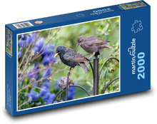 Mladý škorec - vták, zviera Puzzle 2000 dielikov - 90 x 60 cm