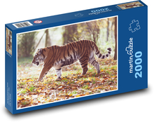 Amur-Tiger - Tier, Jäger Puzzle 2000 Teile - 90 x 60 cm