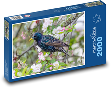 Starling - Vogel, Apfelbaum Puzzle 2000 Teile - 90 x 60 cm