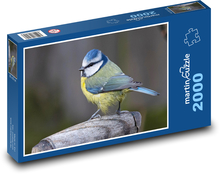 Sýkorka modřinka - pták, peří Puzzle 2000 dílků - 90 x 60 cm