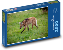 Wilk z grzywą - pastwisko, zwierzę Puzzle 2000 elementów - 90x60 cm