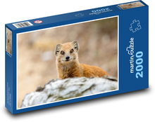 Mangusta - dravec, Afrika Puzzle 2000 dielikov - 90 x 60 cm