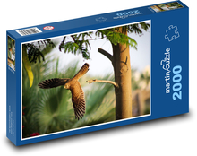 Polowanie na pustułkę - ptak latający Puzzle 2000 elementów - 90x60 cm