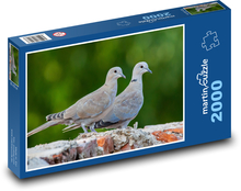 Gołąb - ptaki, zwierzęta Puzzle 2000 elementów - 90x60 cm