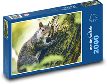 Veverička - zviera, les Puzzle 2000 dielikov - 90 x 60 cm