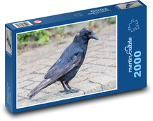 Old crow - bird, animal Puzzle 2000 pieces - 90 x 60 cm