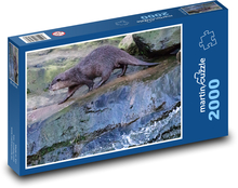 Vydra - voda, zviera Puzzle 2000 dielikov - 90 x 60 cm