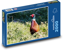 Bažant - vták, lov Puzzle 2000 dielikov - 90 x 60 cm