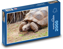 Giant turtle - Seychelles, reptile Puzzle 2000 pieces - 90 x 60 cm