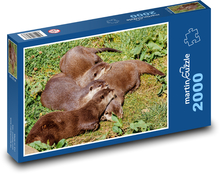 Sleeping otters - animals, rest Puzzle 2000 pieces - 90 x 60 cm