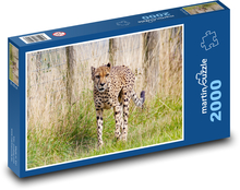 Gepard - duży kot, polowanie Puzzle 2000 elementów - 90x60 cm