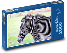Zebra - Safari, Streifen Puzzle 2000 Teile - 90 x 60 cm