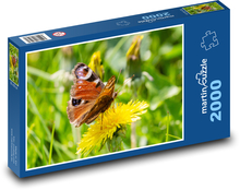 Motyl - mniszek lekarski, kwiat Puzzle 2000 elementów - 90x60 cm