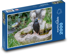 Špaček - kúpanie, voda Puzzle 2000 dielikov - 90 x 60 cm