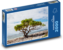 Strom na pláži - osamělý strom, moře  Puzzle 2000 dílků - 90 x 60 cm