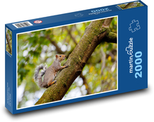 Squirrel on a tree - rodent, gray squirrel Puzzle 2000 pieces - 90 x 60 cm