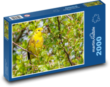 Žlutý pták - pěvec, pták na stromě Puzzle 2000 dílků - 90 x 60 cm