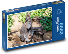 Klokan - vačnatec, matka a mládě Puzzle 2000 dílků - 90 x 60 cm