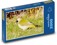 Green woodpecker - yellow-green, bird Puzzle 2000 pieces - 90 x 60 cm