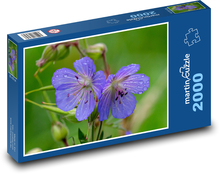 Modrá květina - okvětní lístky, louka Puzzle 2000 dílků - 90 x 60 cm