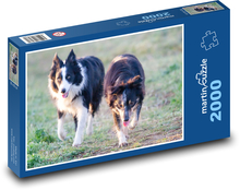 Pár psov - kólia, maznáčik Puzzle 2000 dielikov - 90 x 60 cm