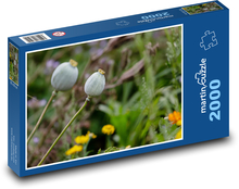 Poppy heads - plant, meadow Puzzle 2000 pieces - 90 x 60 cm