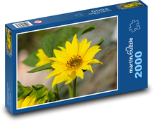 Slunečnice - žlutý květ, květina  Puzzle 2000 dílků - 90 x 60 cm