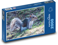 Eichhörnchen - süß, wild Puzzle 2000 Teile - 90 x 60 cm
