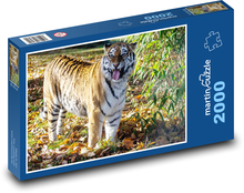 Tygrys amurski - mięsożerca, myśliwy Puzzle 2000 elementów - 90x60 cm