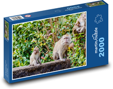 Affe im Dschungel - Makaken, Baum Puzzle 2000 Teile - 90 x 60 cm