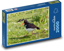 Vodný vták - oranžový zobák, perie Puzzle 2000 dielikov - 90 x 60 cm