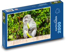 Makak a banán - opice, jíst Puzzle 2000 dílků - 90 x 60 cm