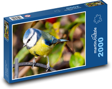 Blaumeise - Vogel, Meise Puzzle 2000 Teile - 90 x 60 cm