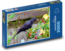Amsel - Vogel, Schnabel Puzzle 2000 Teile - 90 x 60 cm