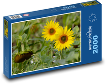 Westliche Sonnenblume - gelbe Blume, Garten Puzzle 2000 Teile - 90 x 60 cm