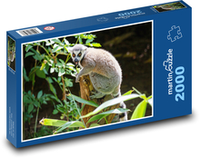 Lemur - zviře, Madagaskar Puzzle 2000 dílků - 90 x 60 cm