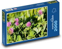 Ružová ďatelina - divoká rastlina, lúka Puzzle 2000 dielikov - 90 x 60 cm