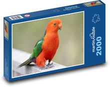 Austrálsky papagáj kráľovský - vták, perie Puzzle 2000 dielikov - 90 x 60 cm