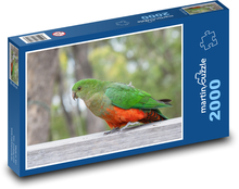 Papoušek - pták, kráslovský Puzzle 2000 dílků - 90 x 60 cm