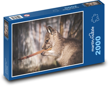 Känguru - Baby, Australien Puzzle 2000 Teile - 90 x 60 cm