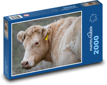Krava - dobytok, dobytok Puzzle 2000 dielikov - 90 x 60 cm