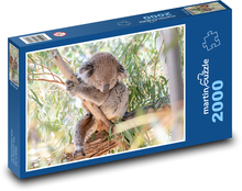 Koala auf einem Baum - Beuteltier, Pflanzenfresser Puzzle 2000 Teile - 90 x 60 cm