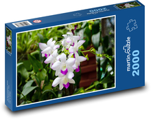 Orchidee - Blume, Blume Puzzle 2000 Teile - 90 x 60 cm